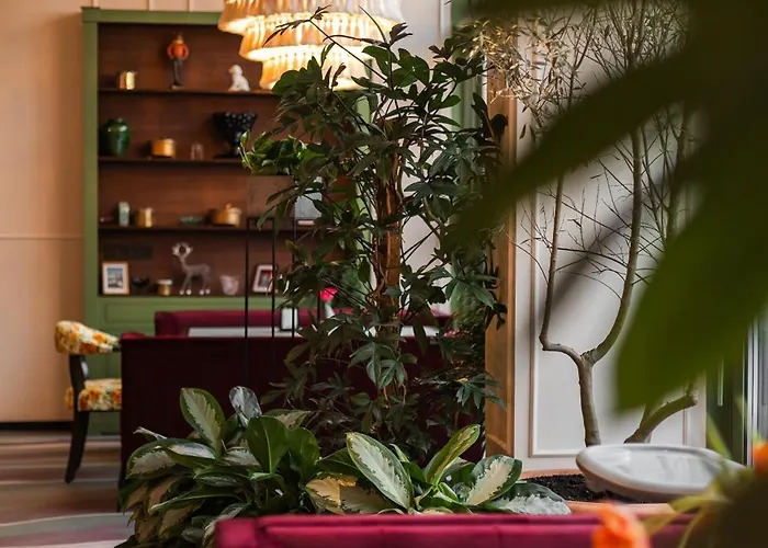 Buka & Apartament *